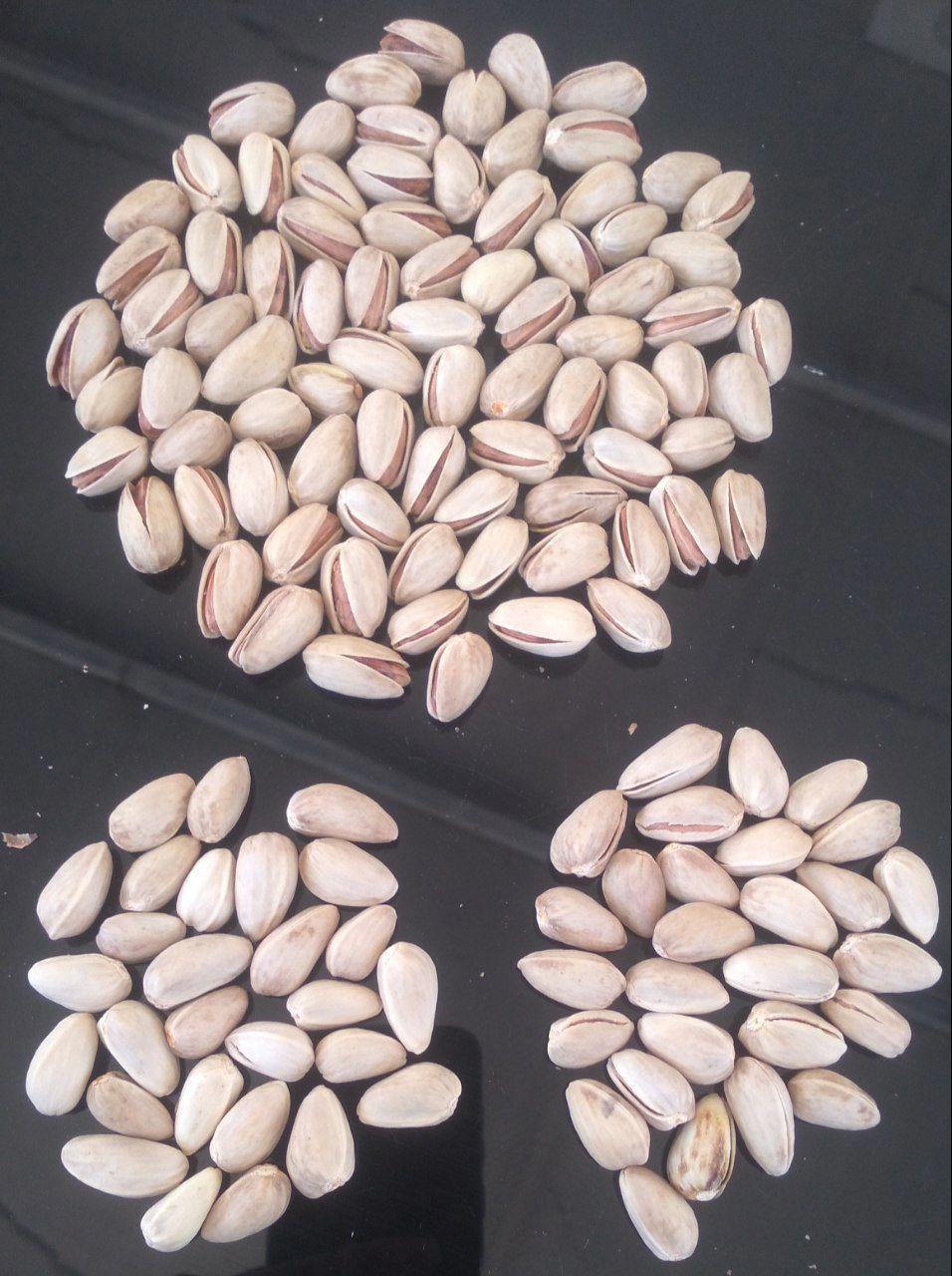 پسته اکبری اونس 27