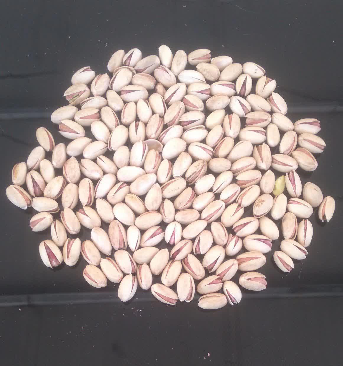 پسته بادامی اونس 35