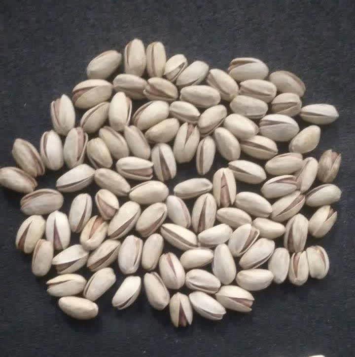 پسته اکبری اونس 23